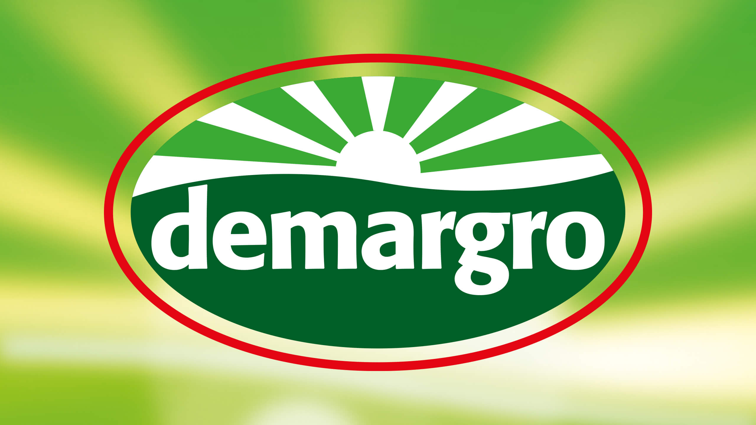 ontwerp logo demargro